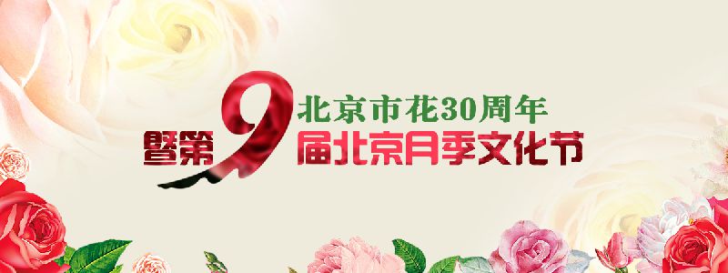 2017第九届北京月季文化节时间地点活动内容指南