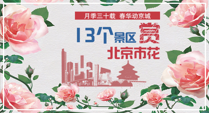 2017北京月季花展13个景区观赏好去处