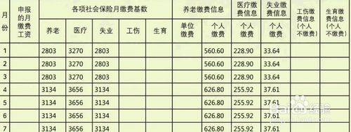 北京的社保怎么查询缴费记录
