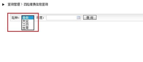 北京的社保怎么查询缴费记录