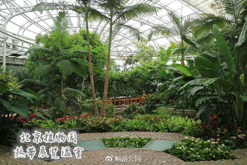 北京植物园热带展览温室北京植物园热带展览温室收集展示热带及亚