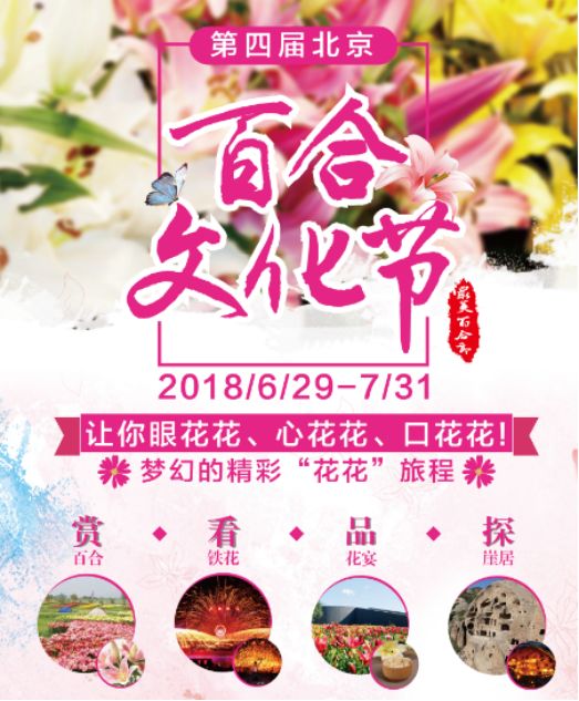 2018北京百合文化节6月29日开幕 百合花海等你来！