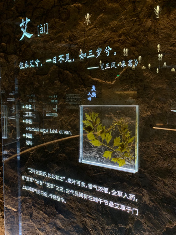 北京世园会中国馆介绍