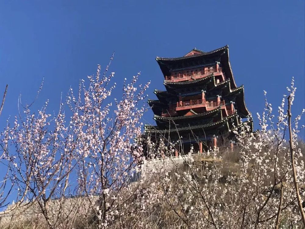 2019北京定都峰踏春赏花活动详情