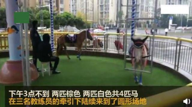 成都“旋轉真馬”具體位置在哪里