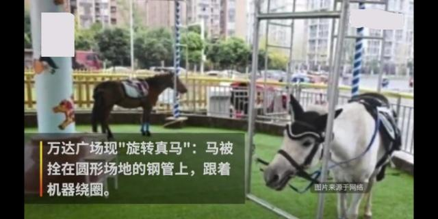 成都“旋轉真馬”具體位置在哪里