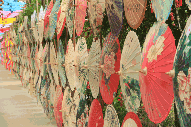 2018郫都花乡玫瑰赏花节攻略时间地点门票