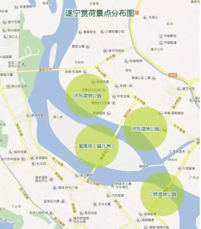 遂宁市城区赏荷景点分布图图片