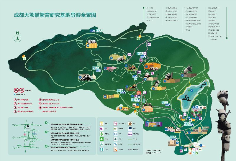 2018成都大熊猫繁育研究基地导游全景地图图片