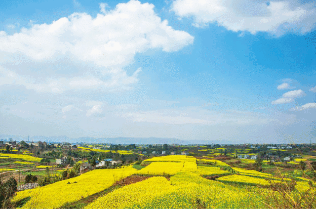 2019年3月成都賞花地圖