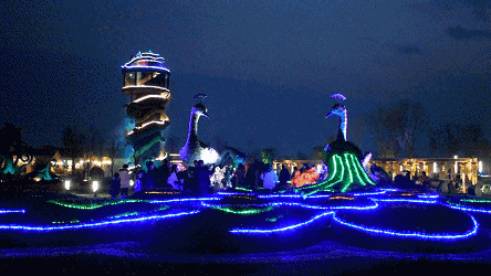 2019年錦繡安仁花卉公園情人節活動