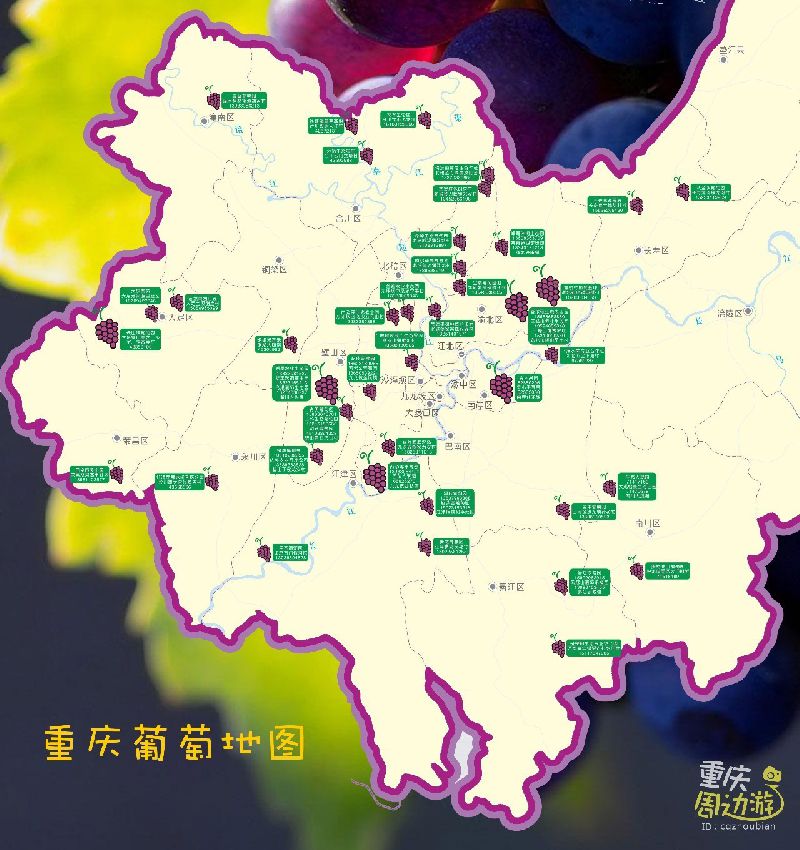 2017重庆葡萄采摘地图出炉