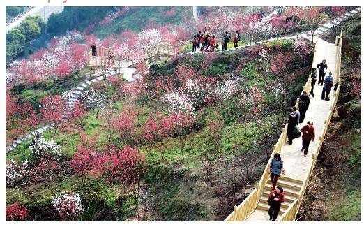 南山桃花园