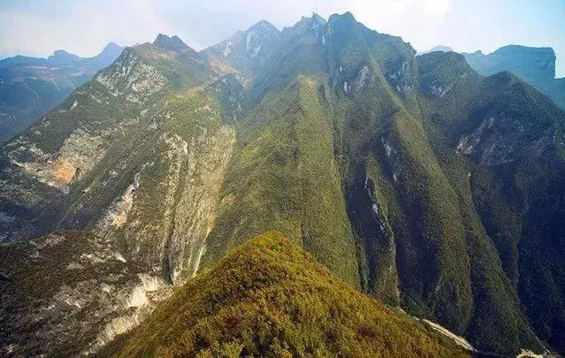 阴条岭自然保护区: 重庆唯一的原始森林