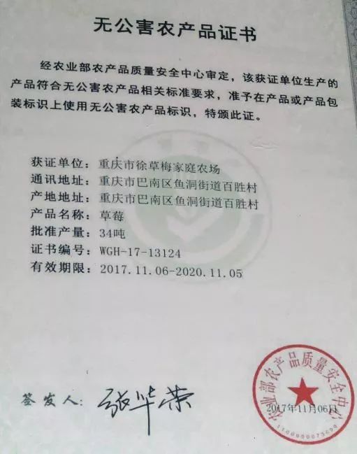 2019重庆巴南冬草莓采摘攻略（时间 地点 价格）