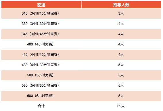 2017长沙国际马拉松招募官方配速员兔子