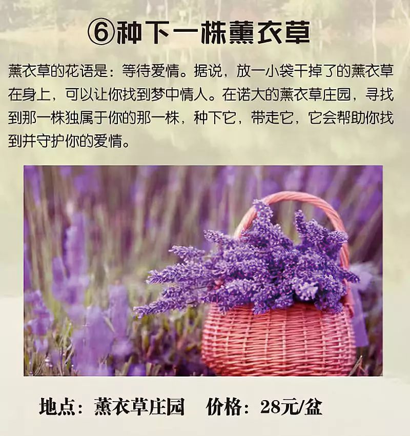 2019年长沙县慧润板仓国际露营基地春节优惠活动