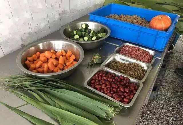 2019年端午节长沙生态动物园好玩的活动有哪些
