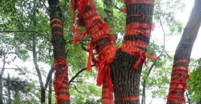 2019年端午节长沙石燕湖有哪些好玩的活动