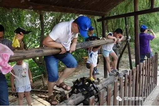 带孩子去常州游玩攻略,带孩子去常州游玩攻略图片