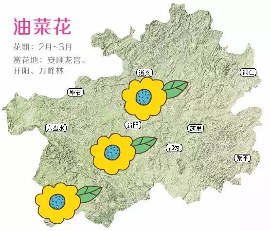 贵阳全年赏花时间表一年四季赏花指南 本地宝