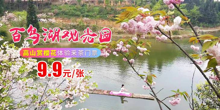 2019贵州都匀百鸟湖观光园高山赏樱花（时间