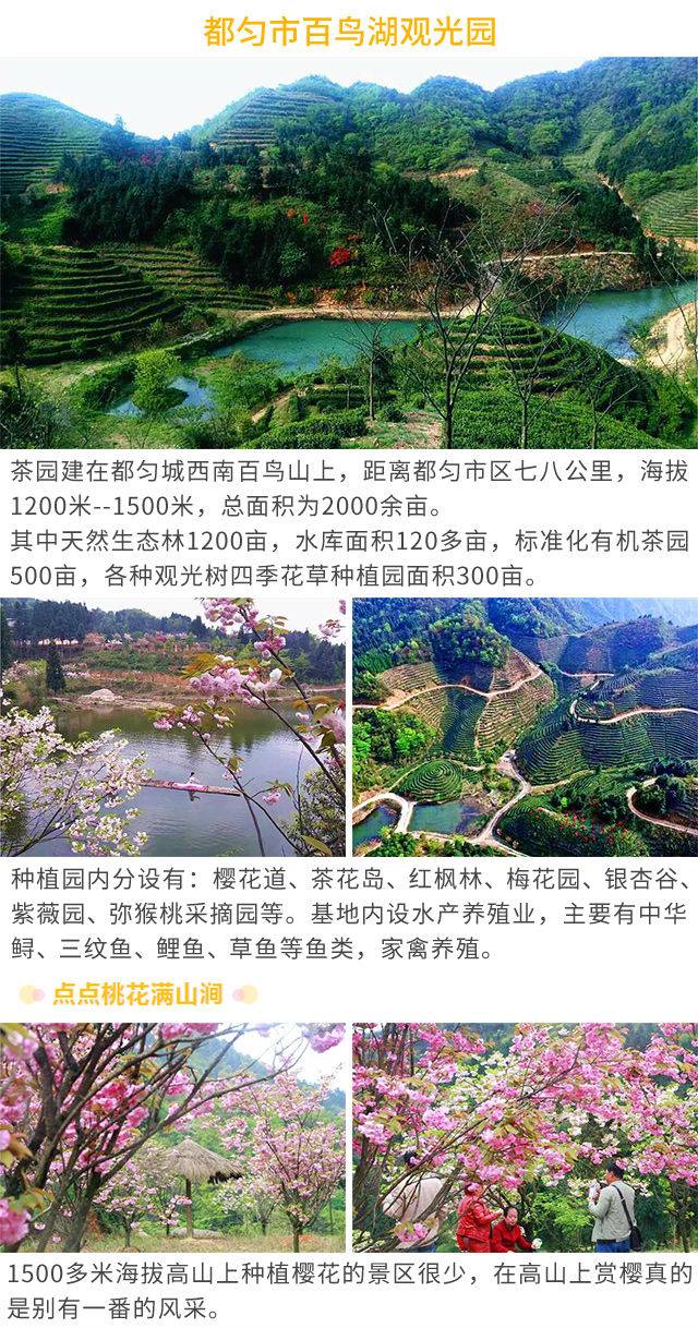 2019贵州都匀百鸟湖观光园高山赏樱花（时间 地点 特惠门票）