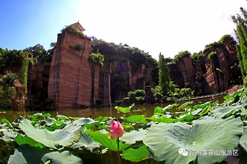 2018年5月19日中国旅游日广州莲花山门票五折