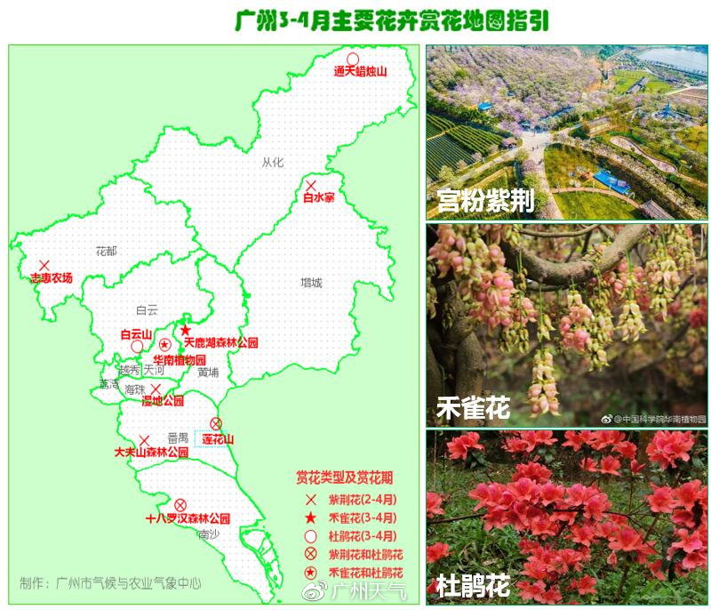 广州2023清明节看花去哪里？清明节广州赏花攻略