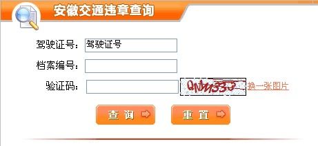 合肥车辆违章查询_查询车辆违章_车辆违章快速查询