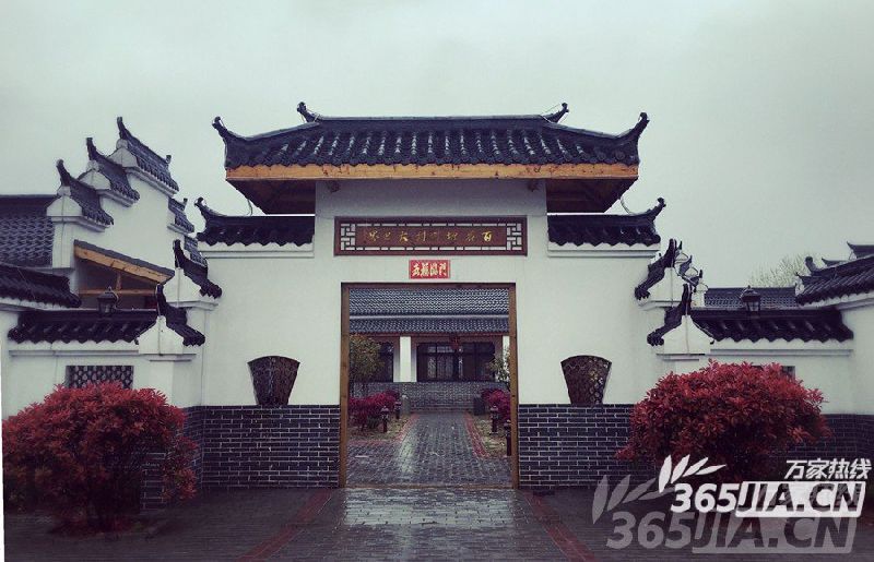 环巢湖毅行沿线人气美食推荐