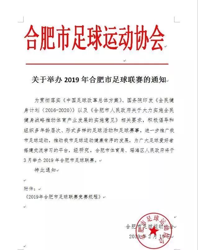 2019年合肥市足球联赛（报名时间 地点 办法）