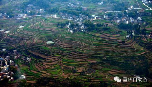 6,奉节|公平镇公平梯田   在重庆云阳和奉节交界地域的高山上,这儿