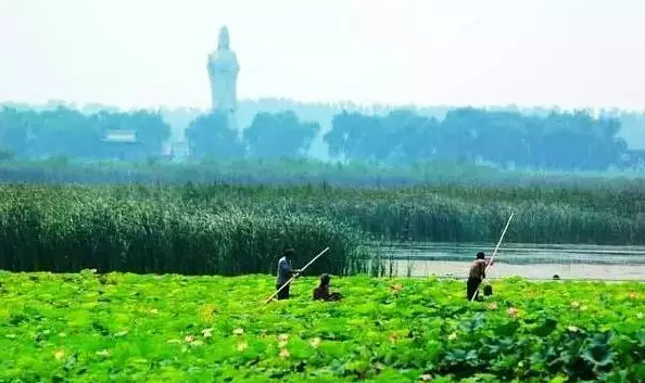 北曹范人口_曹范街道照片(3)