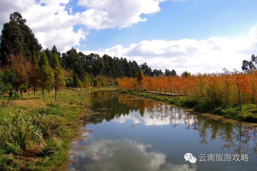 昆明湿地公园推荐