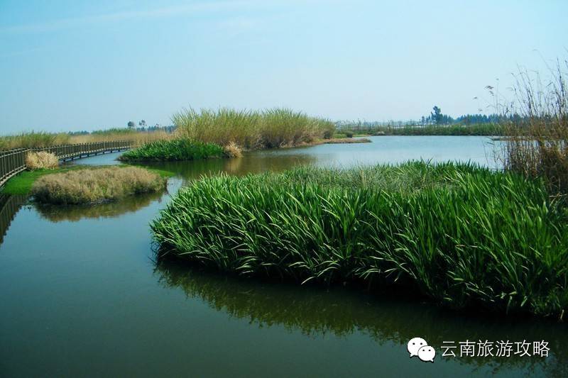 昆明湿地公园推荐