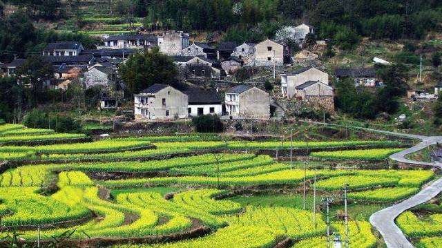 奉化区   大堰镇西畈村