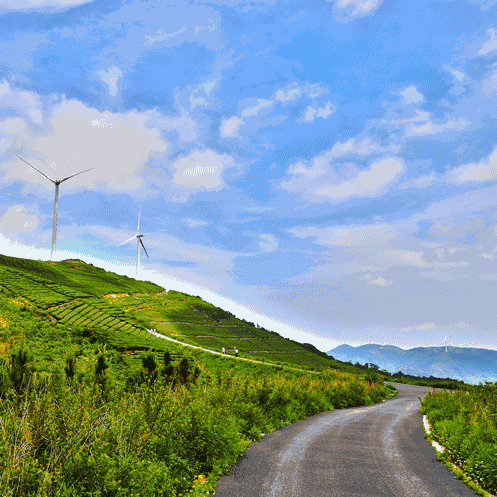 宁波最美风车公路在哪里