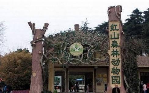 南京适合带孩子去的地方 红山动物园