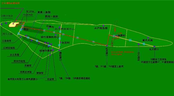 南京江心洲葡萄园采摘攻略