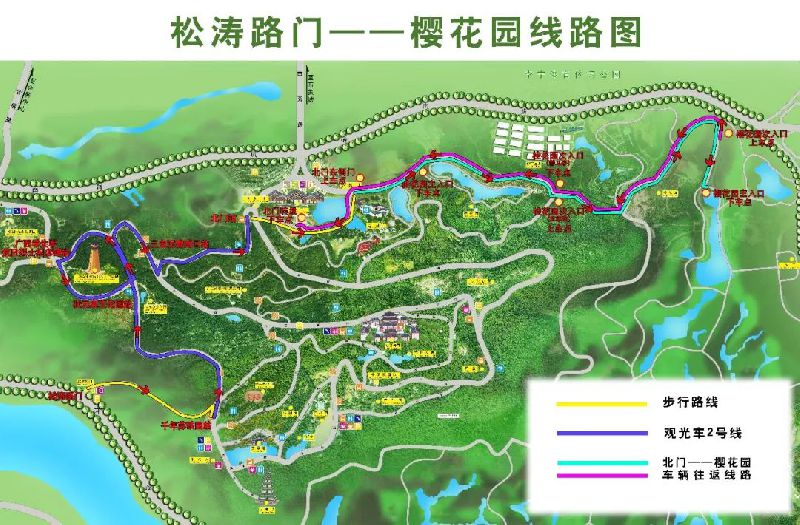 南宁青秀山樱花园怎么走