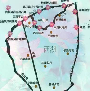 每年的7-8月份杭州都会举行西湖荷花节,最美丽的季节是天气最热的