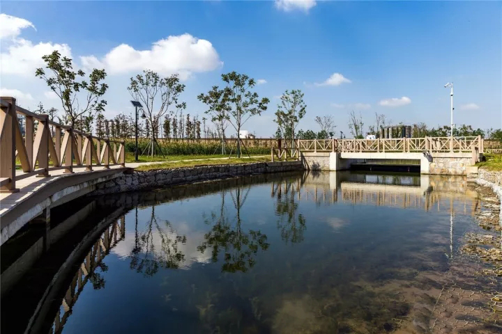 鹦鹉洲生态湿地公园游玩攻略 | 地址+交通+开放