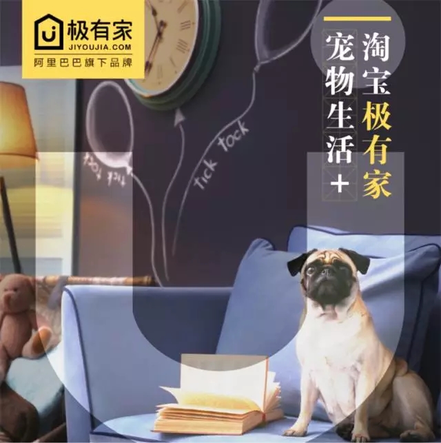 2017上海亚洲宠物展时间&amp;门票预定(附交通)(图8)