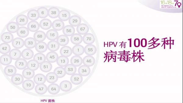 二价四价防宫颈癌疫苗同效 上海预计十月份后