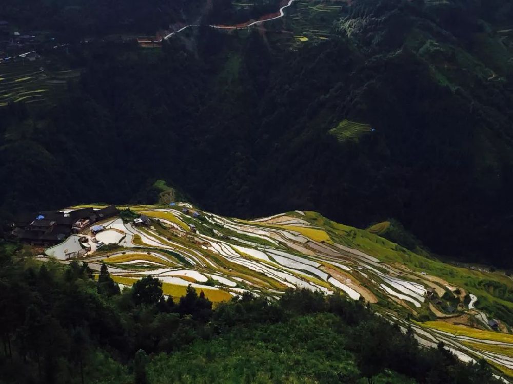 《国家地理》发布2019旅行清单 中国梵净山入