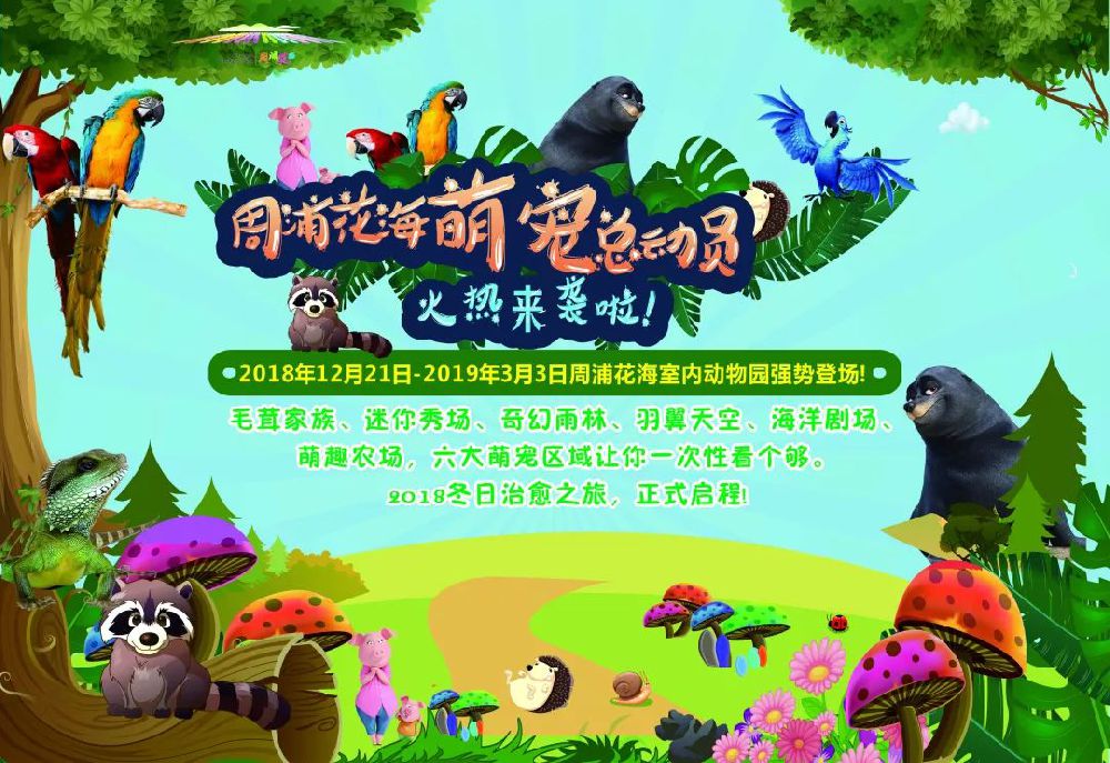 元旦亲子打卡地 上海周浦花海萌宠总动员火热来袭