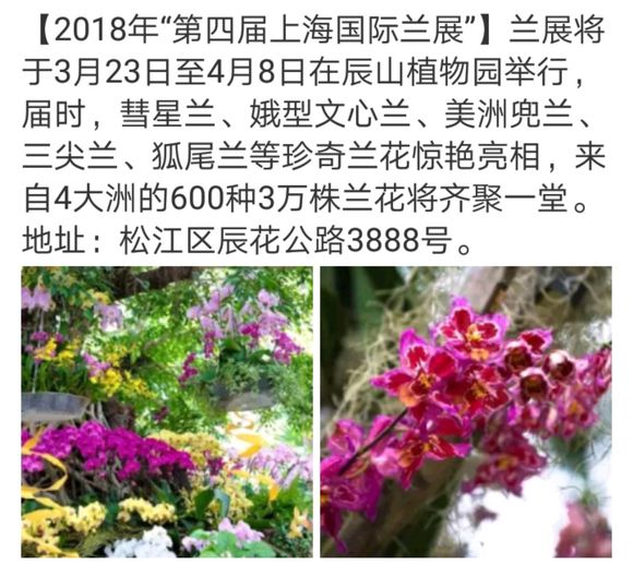 23届上海婚纱_贺新春来自上海国际婚纱展的春节问候,写祝福留言赢奖品！