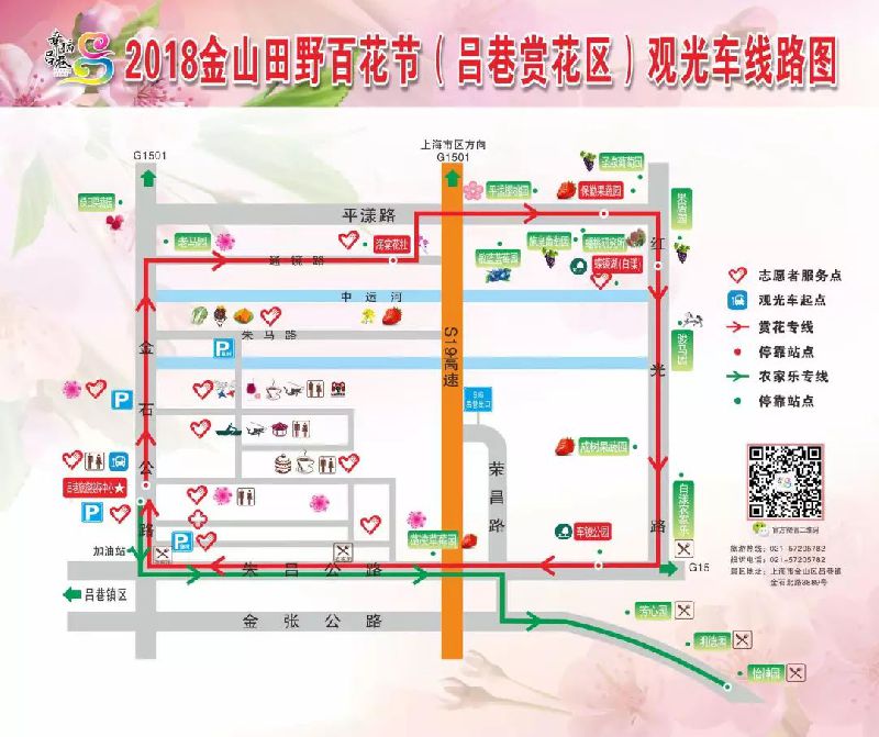 2018上海金山田野百花节即将开幕 赏花线路出炉