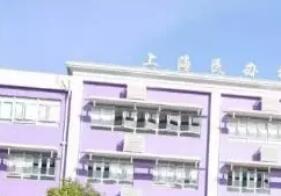 2019上海民办初中招生学校及招生计划